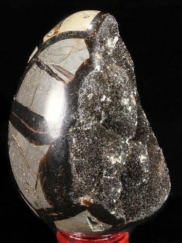 Septarian Dragon Egg Geode - Black Crystals #57477